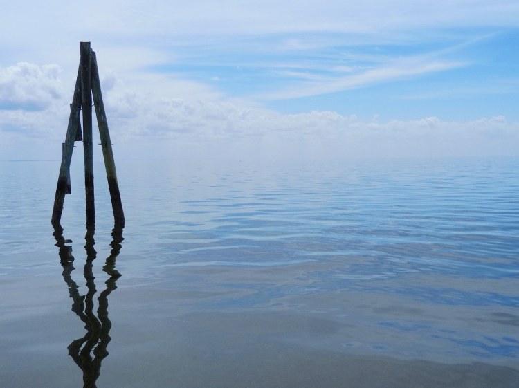 IMG_20190309_115740_190