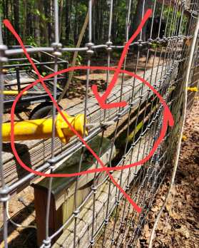 97947232_10222280906636032_2249255814361513984_o